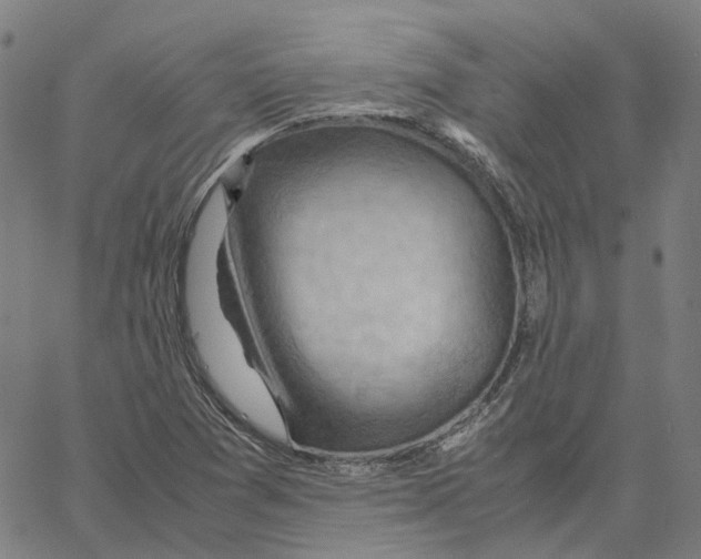 X0000061111361200512161403