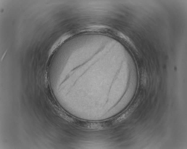 X0000061111362200512161403