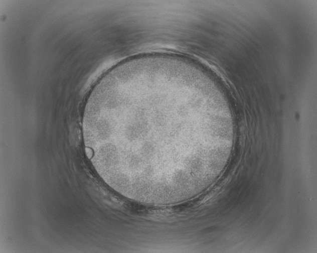 X0000061111363200512161403