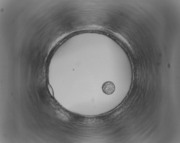 X0000061111364200512161403