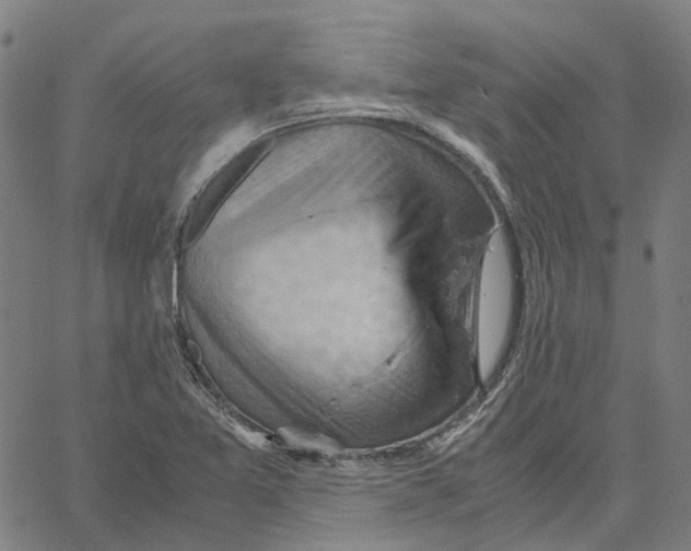 X0000061111365200512161403