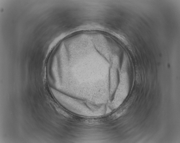 X0000061111366200512161403