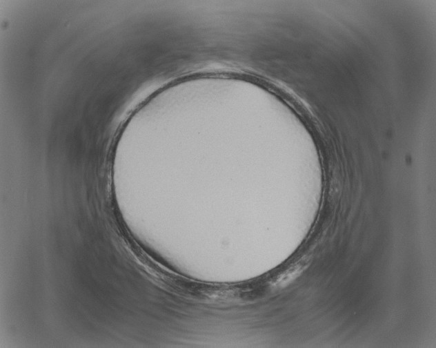 X0000061111367200512161403