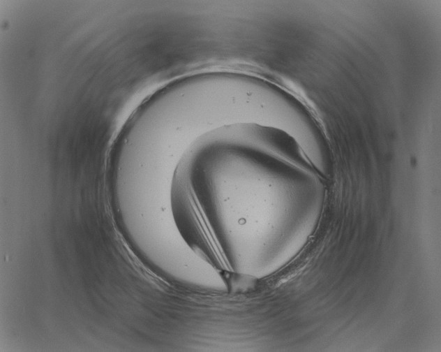 X0000061111368200512161403