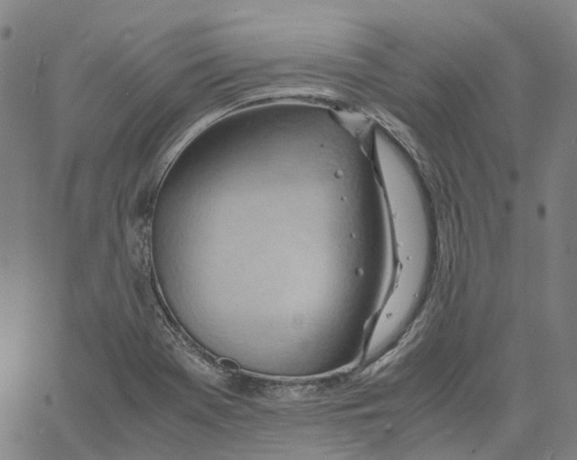 X0000061111369200512161403