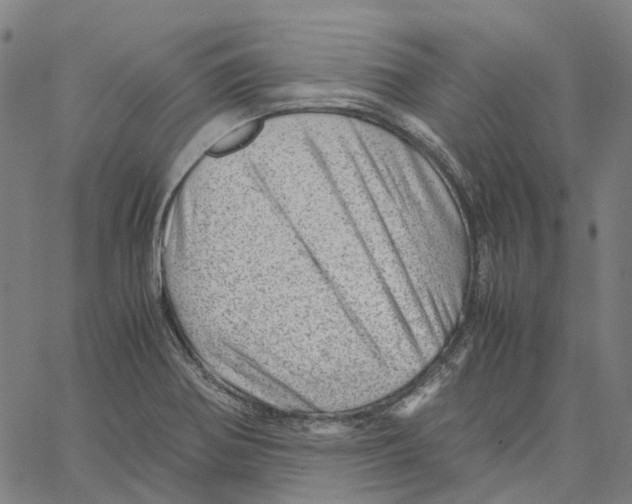 X0000061111370200512161403