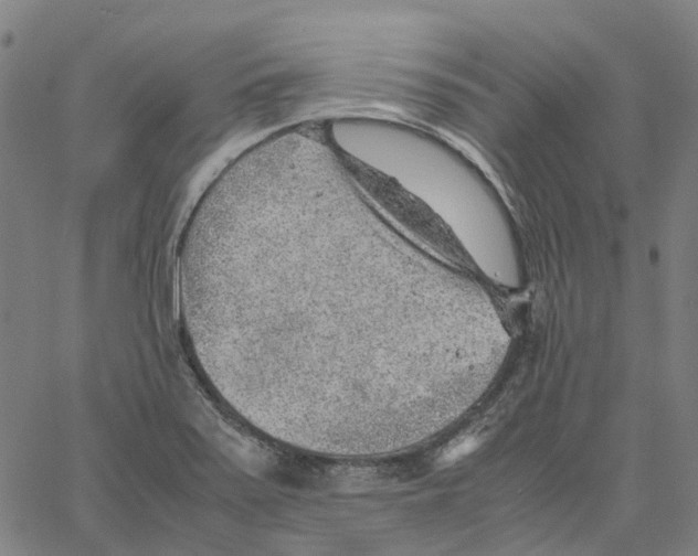 X0000061111371200512161403