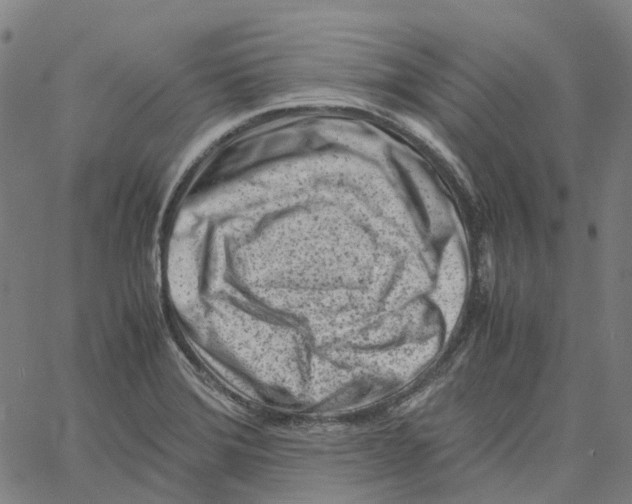 X0000061111372200512161403