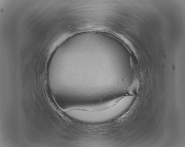 X0000061111373200512161403