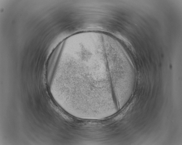 X0000061111374200512161402