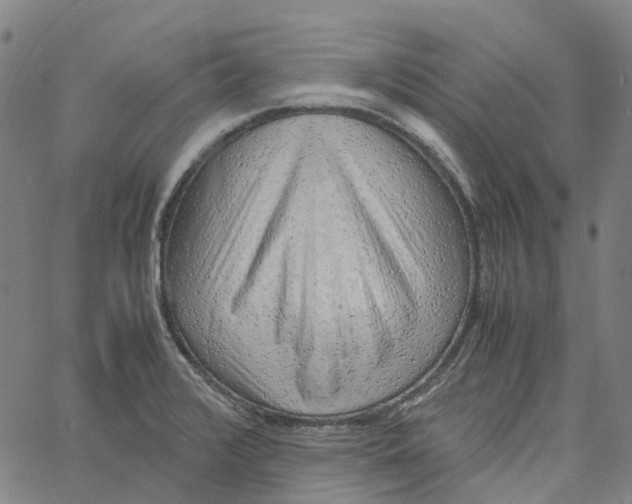 X0000061111376200512161402