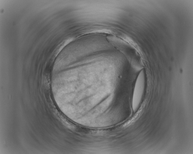 X0000061111377200512161402