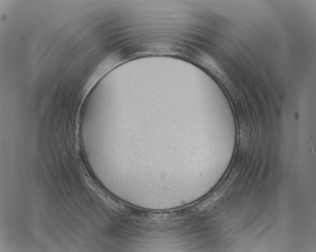 X0000061111378200512161402