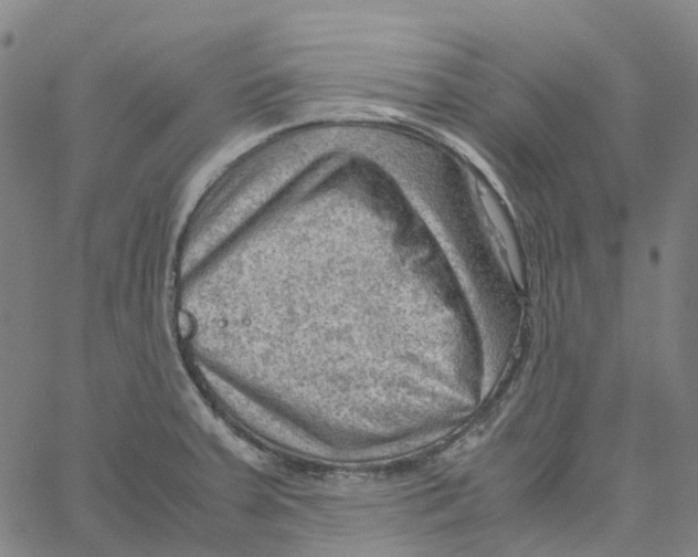 X0000061111379200512161402