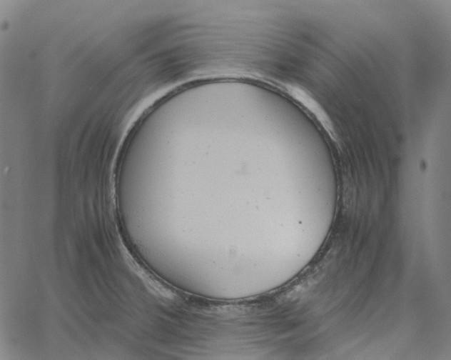 X0000061111380200512161402