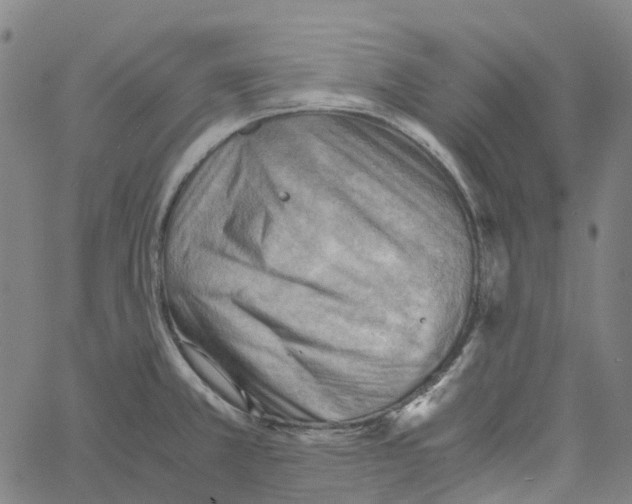 X0000061111381200512161402