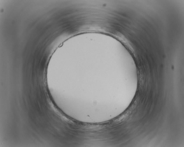 X0000061111382200512161402