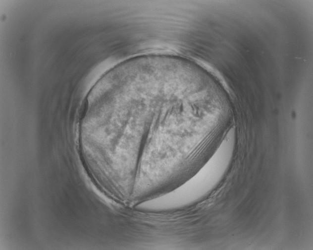 X0000061111383200512161402