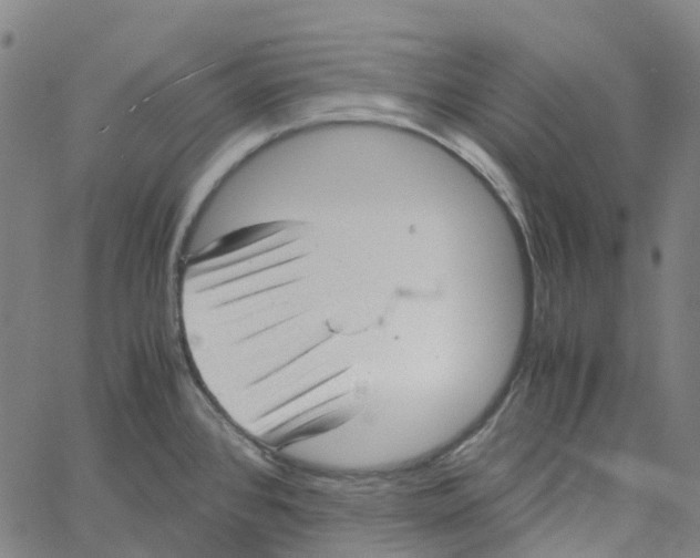 X0000061111384200512161402