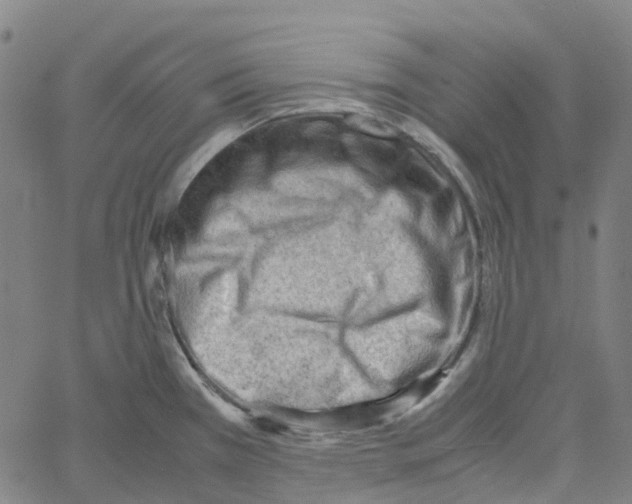 X0000061111385200512161402