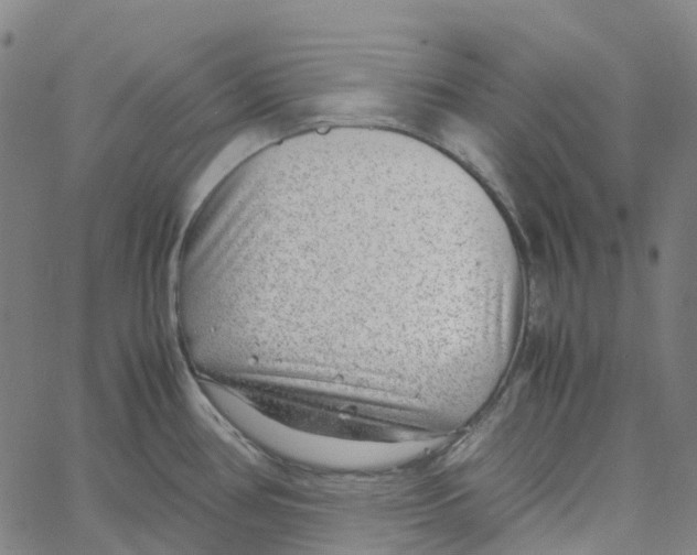 X0000061111386200512161402