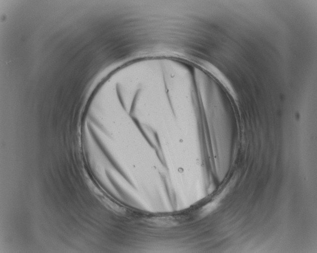 X0000061111388200512161402