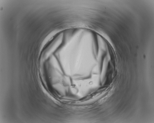 X0000061111389200512161402