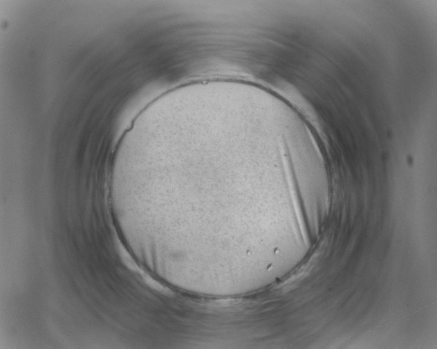 X0000061111390200512161402