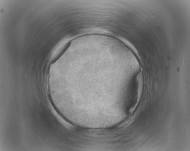 X0000061111391200512161402