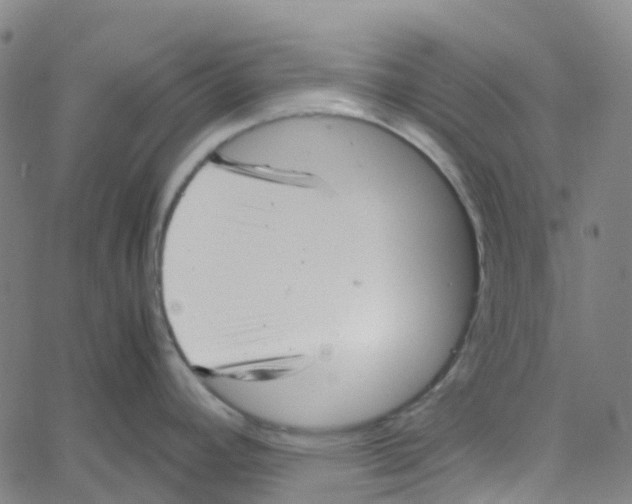 X0000061111392200512161402