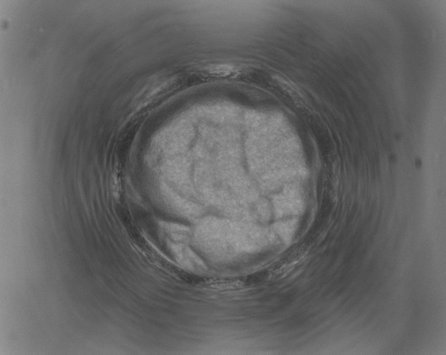 X0000061111394200512161401