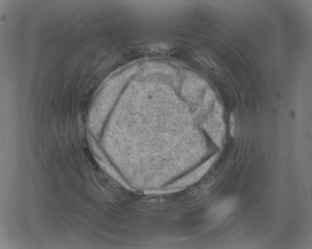 X0000061111395200512161401