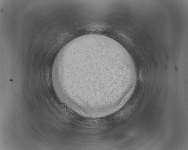 X0000061111396200512161401