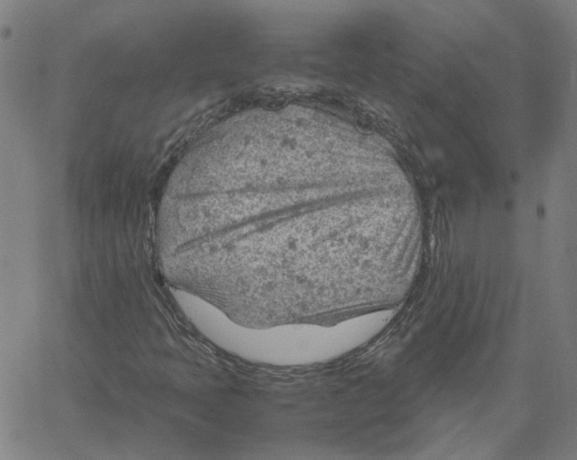 X0000061111397200512161401