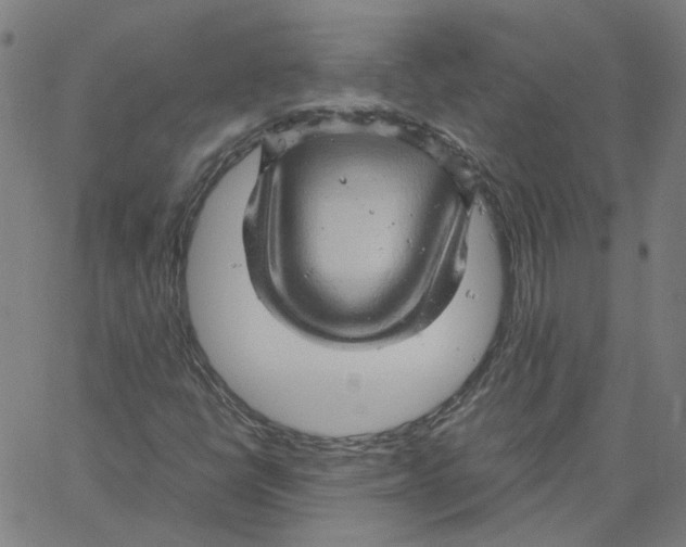 X0000061111398200512161402