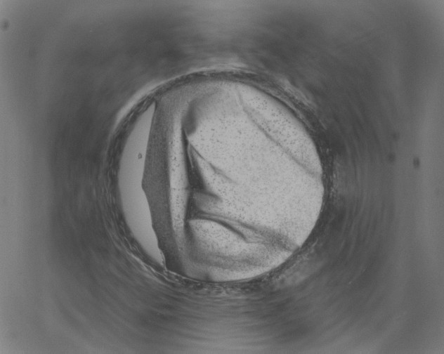 X0000061111400200512161402