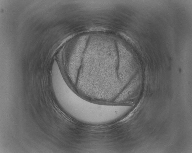 X0000061111401200512161402