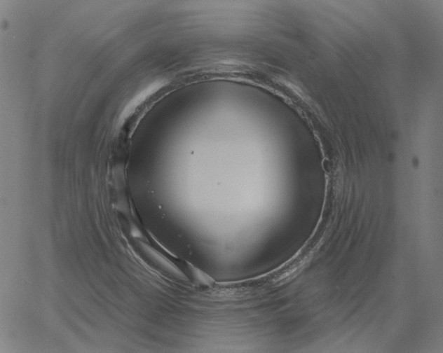 X0000061111402200512161402