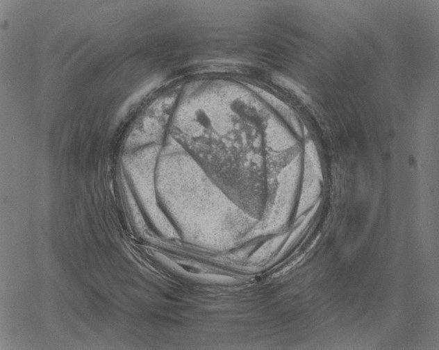 X0000061111403200512161402