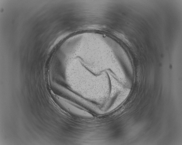 X0000061111404200512161402