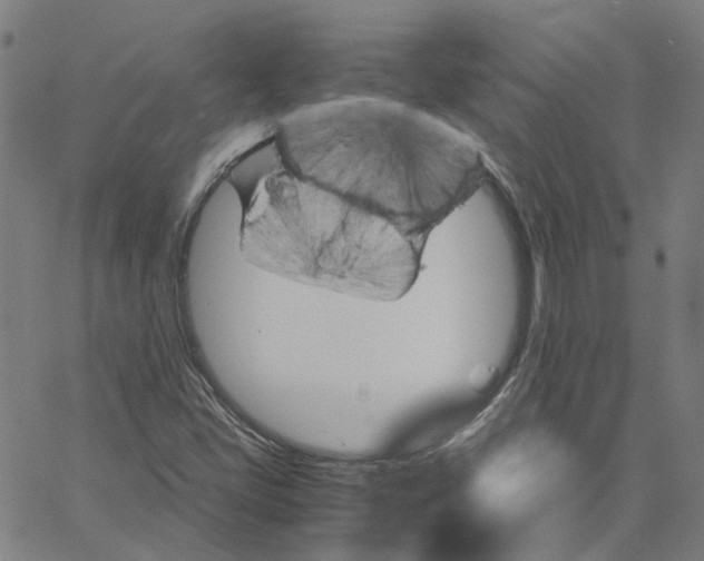 X0000061111405200512161402