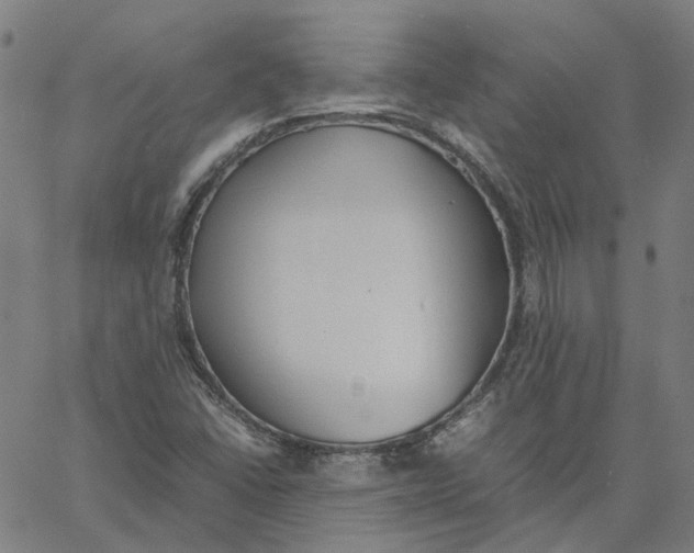 X0000061111406200512161402