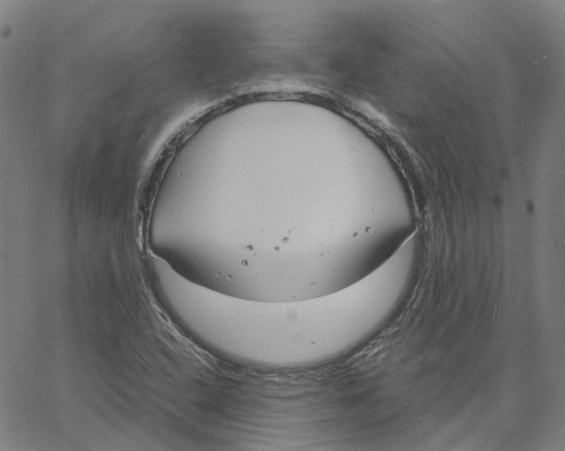 X0000061111408200512161402