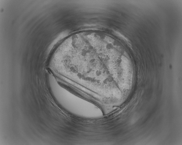 X0000061111411200512161402