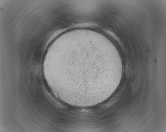 X0000061111412200512161402