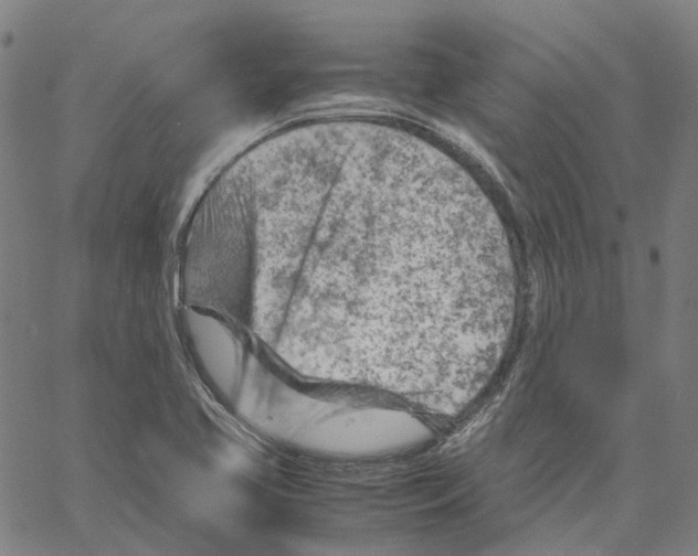 X0000061111413200512161402