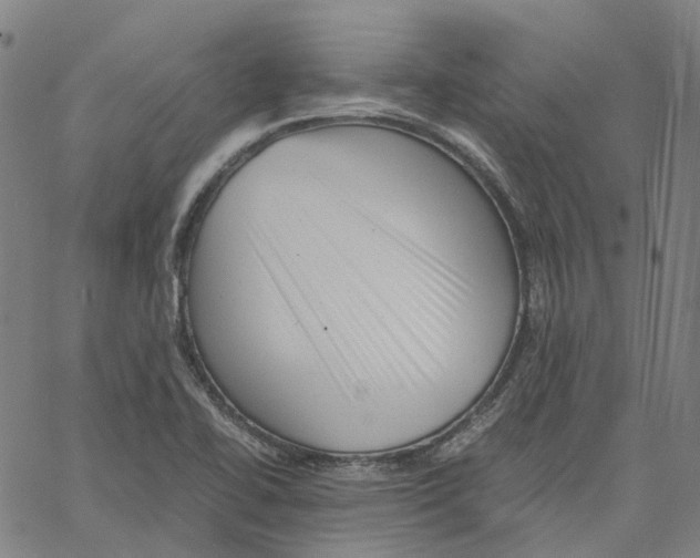 X0000061111414200512161402