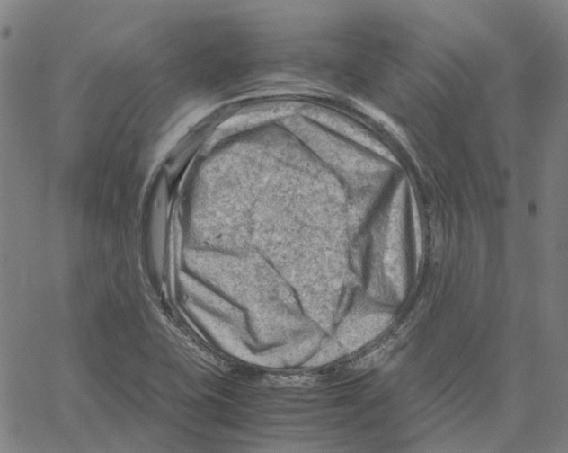 X0000061111415200512161402