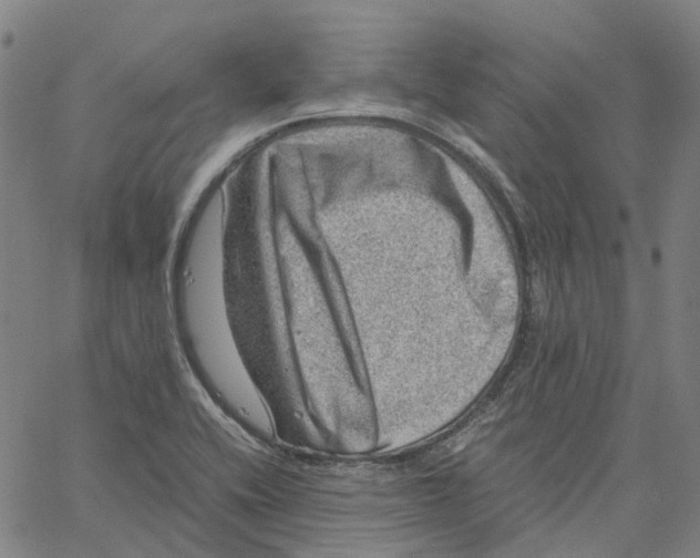 X0000061111416200512161402