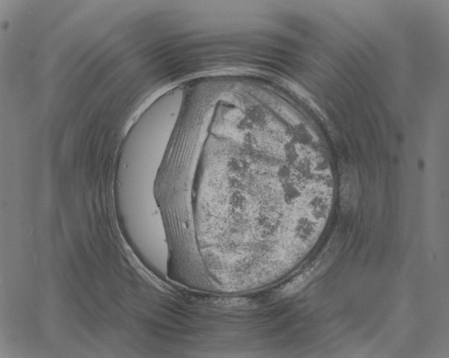 X0000061111417200512161402